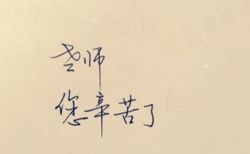 教师年总结报告优秀6篇