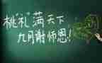 年终教师个人工作总结6篇