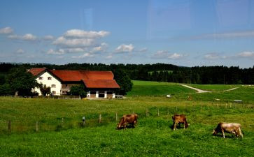 塔克郊外的读后感6篇