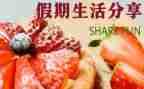 假日活动方案最新6篇