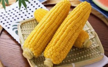 关于玉米的作文5篇