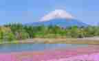 写景色的作文600字6篇