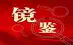 2024镜鉴警示教育片观后感6篇