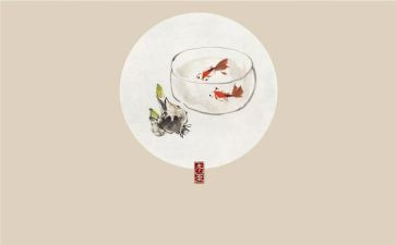 24节气的活动方案精选5篇