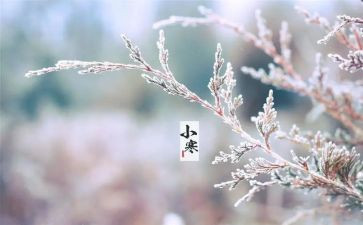 写白露节气的作文5篇