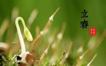 节气作文参考6篇