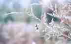 写白露节气的作文5篇