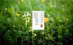 节气作文优质6篇