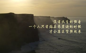 狼的精神心得体会精选8篇
