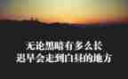 团队合作精神的心得体会5篇