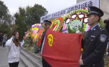 清明节祭扫活动方案7篇
