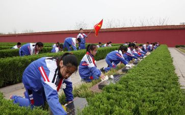 社区清明祭扫活动方案6篇