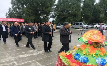 祭扫活动方案优秀7篇