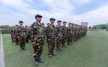 作文:军训心得优质6篇