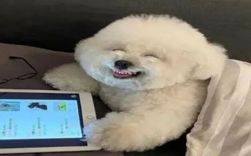 我开心中班教案7篇