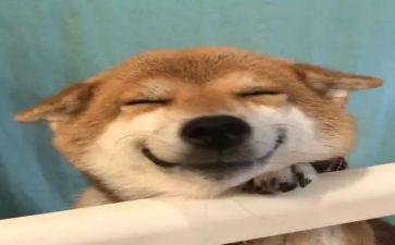 我开心了作文400字作文8篇