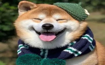 开心的作文400字8篇