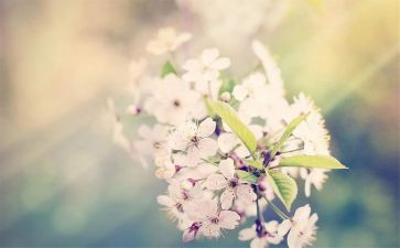 一年级看图写话教案5篇