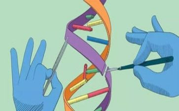 科学大教研心得体会8篇