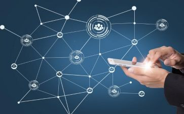 树科学教案中班教案精选8篇