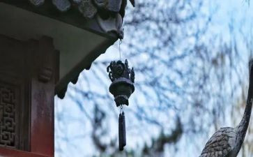 苦旅读后感参考6篇