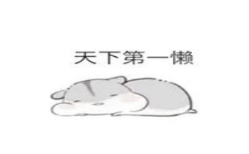越来越懒的我作文推荐6篇