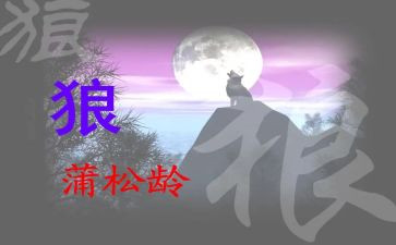 《狼》读后感300字8篇
