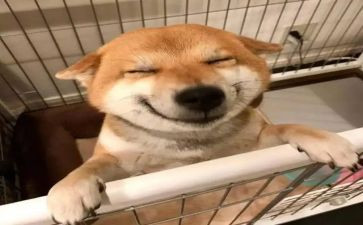 乐都区政府工作报告心得体会8篇