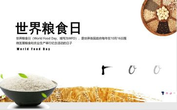 粮食节活动方案5篇