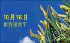 幼儿园粮食节活动方案8篇