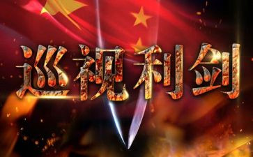 巡视利剑进心得体会6篇