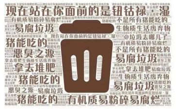垃圾分类员个人事迹5篇