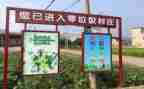 村垃圾分类调查报告精选6篇