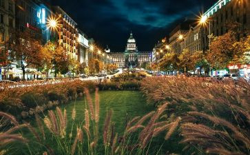 保留学籍的申请书优秀6篇