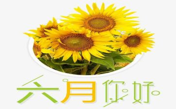幼儿园小班六月工作计划7篇