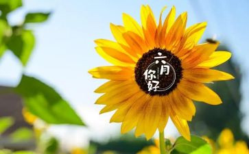 六月工作总结优秀6篇