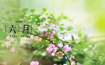 幼儿园六月份个人总结6篇