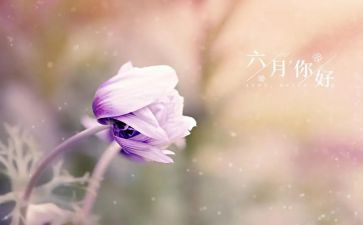 六月九心得体会6篇
