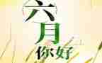 六月份幼儿园中班工作总结8篇