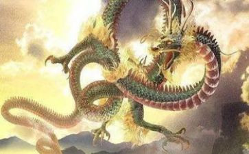 龙的调研报告最新5篇