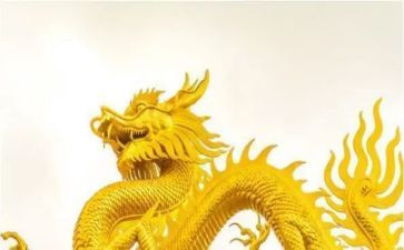 龙的调研报告优质8篇
