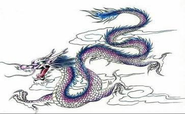 大班龙的教案7篇