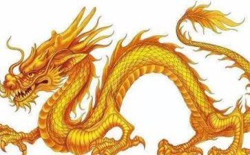 写恐龙园的作文5篇