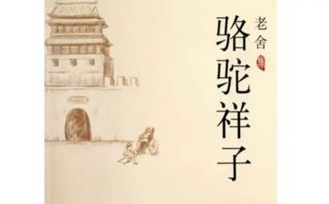 骆驼的读后感通用7篇