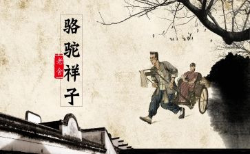 骆驼的读后感800字模板8篇
