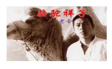 骆驼翔子心得体会6篇