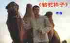 骆驼的读后感600字精选8篇