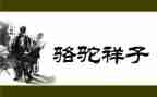 骆驼祥子读后感600字优质8篇