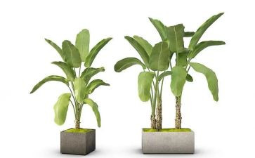 绿化股工作总结5篇