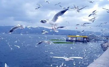 旅游的演讲稿8篇